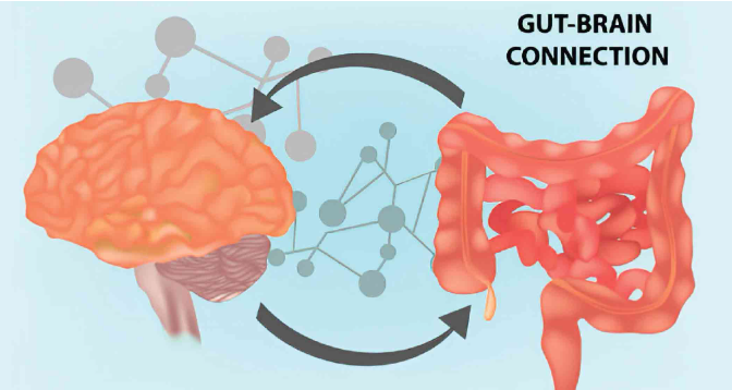 Gut Health for Eczema Kids: The Foundation of Real Healing | eczemakids.com