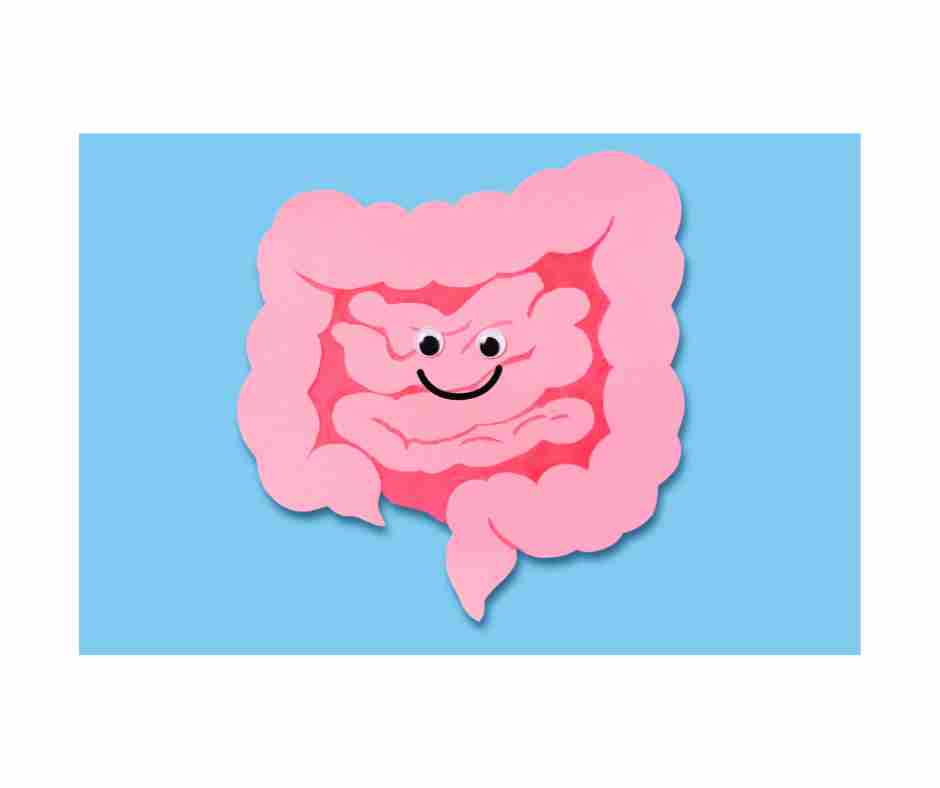 Nurturing Kids with Eczema through the Power of Digestive Enzymes