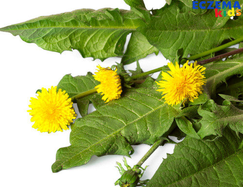 Chemical-Free Pest Control and Weed Solutions