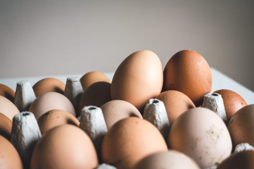Want to Get Your Kid’s Over Their Food Sensitivies?