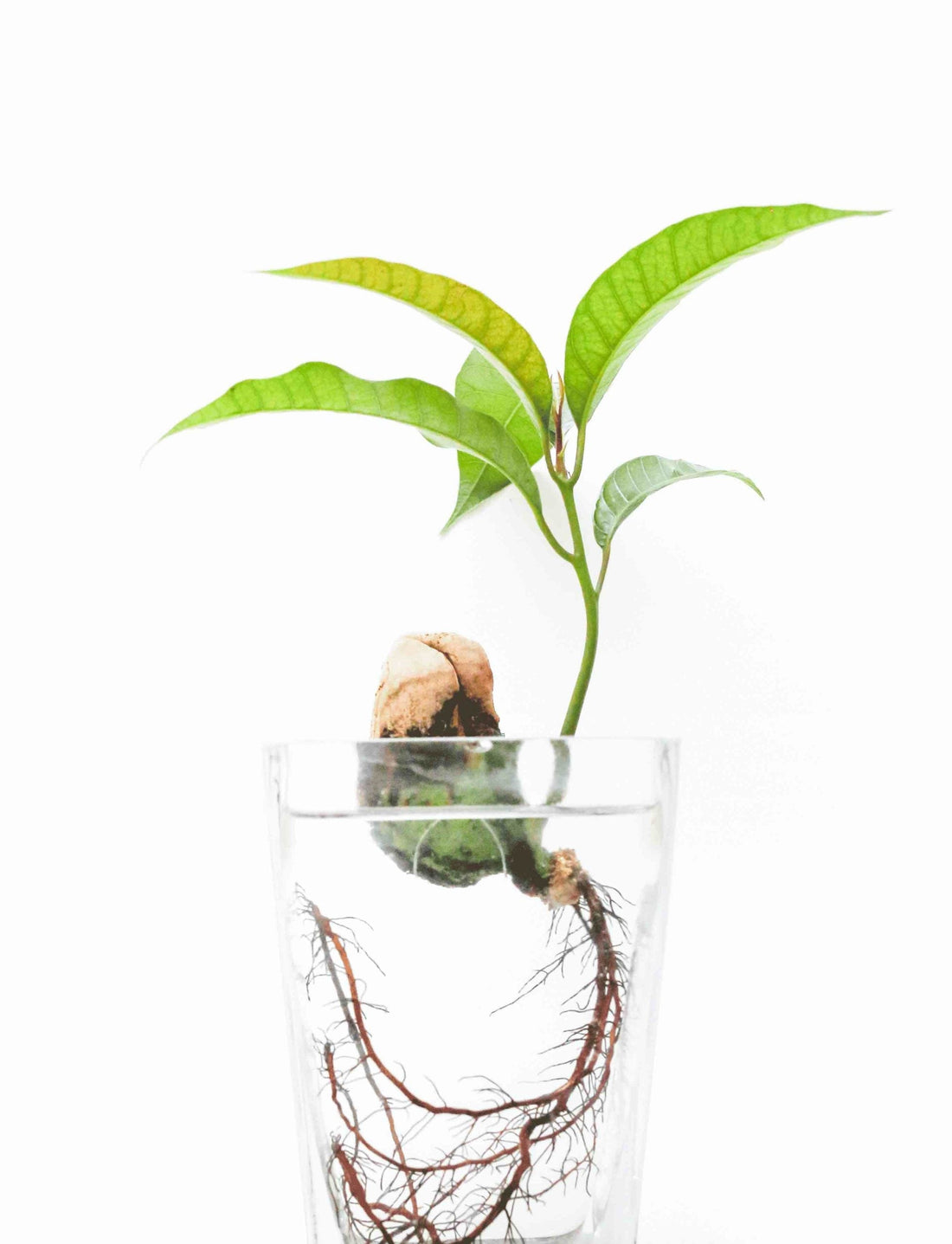 The Root Cause of Your Kid’s Eczema