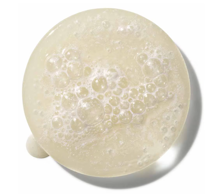Lactobacillus Ferment