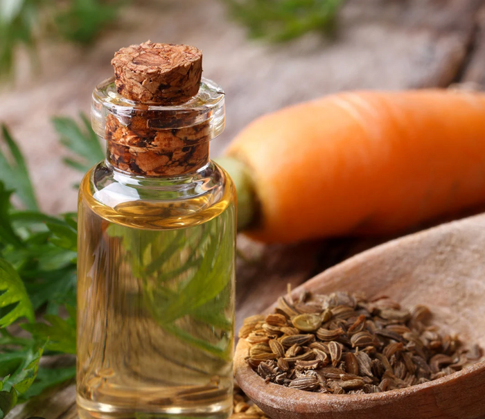 Essential Oils of Frankincense, Carrot Seed, Geranium and Blue Tansy